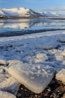 Ice floes on the shore of a fjord in front of snowy mountains, sunny, Breiddalsvik, East Fjords,