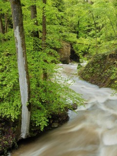 Flood at the Aabach, Horgen, Canton Zurich, Switzerland