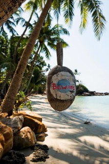 Sandy beach beach with coconut palms, Haad Khlong Hin Beach, Koh Kood, Koh Kut, Gulf of Thailand,