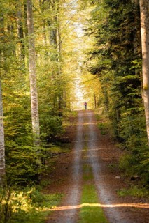 Woman riding her ebike through the autumn forest, Black Forest, Gechingen, Germany
