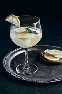 A refreshing gin tonic with ice, lemon slices, and mint garnish served in a tall glass on a
