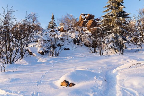 Großer Lugstein, winter landscape with snow-covered trees and branches covered with hoarfrost on