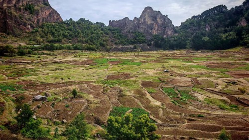 Panorama, vast terraced fields in the caldera from the Cova volcano, nestled in a mountainous