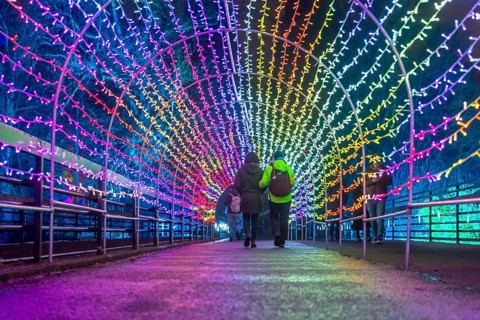 Park lights, events in winter, in the Grugapark in Essen, many different light installations,