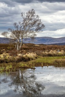 Rannoch Moor over Loch Ba and Loch of the Armpit, A82 Highland Way, Argyll and Bute, West
