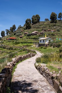 Terraced fields, Huillanopampa, Titicaca lake, Puno, Peru