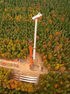 Overview of a wind turbine in the middle of an autumn-coloured forest from above, wind farm