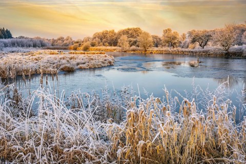 Winter hoarfrost at Ahlhorn fish ponds, Ahlhorn fish ponds, Ahlhorn, Lower Saxony, Germany