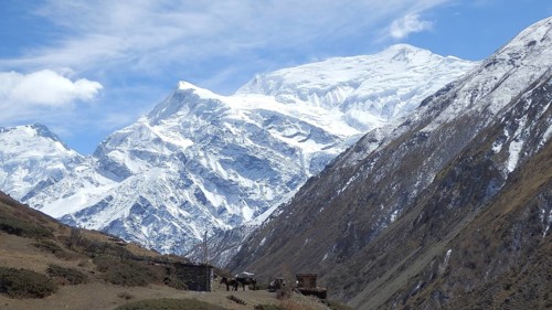 View of the Annapurna massif, snow-capped mountains under a clear blue sky with impressive views,