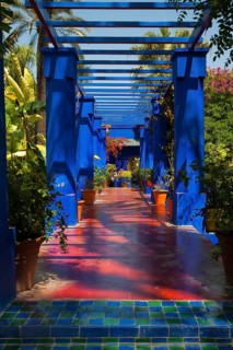 Flower decoration in the Majorelle garden, wall, clay plaster, indigo, blue, colourful, plants,