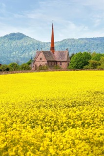 Amelungsborn Abbey, a Lutheran monastery, near Negenborn and Stadtoldendorf, Landkreis of