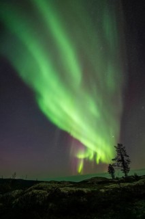 Northern Lights (Aurora borealis), Norrbotten, Lapland, Sweden, September 2024