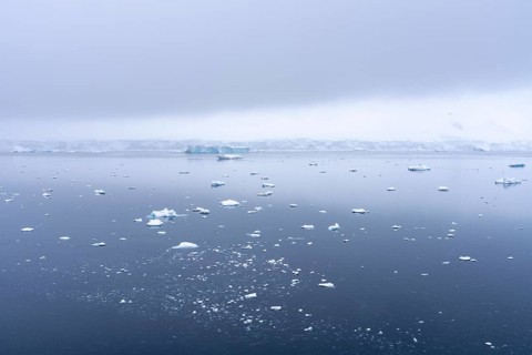 Drift ice and small ice floes on calm sea surface, glaciated coast under low-hanging cloud cover in