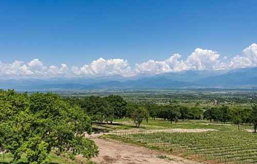 View of the majestic Greater Caucasus mountain range from the lush Alazani Valley in Kakheti,