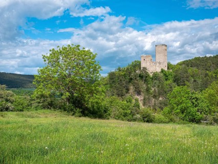 Landscape with the ruins of Ehrenstein Castle under dramatic cloudy sky, Stadtilm, Thuringia,