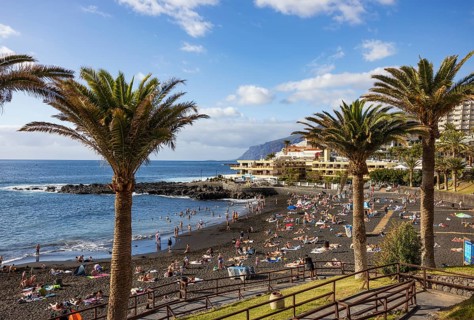 Palm trees with Las Arenas beach in Puerto de Santiago, Atlantic, Tenerife, Canary Islands, Spain