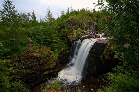 Mighty waterfall falls over rocks amidst lush vegetation, Victoria Falls, Slattadale, Achnasheen,