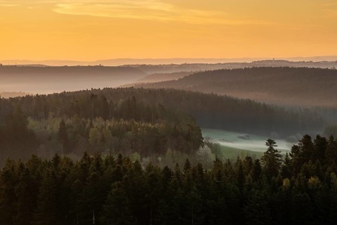 Sunrise and morning fog, Black Forest near Freudenstadt, Baden-Württemberg, Germany