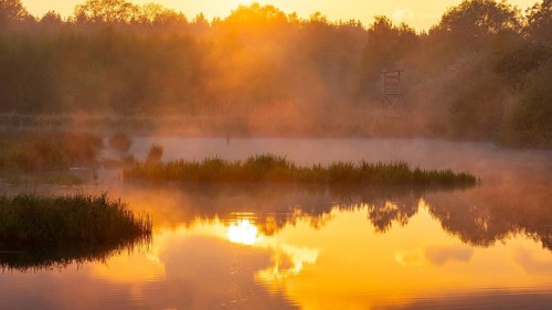 Sunset at Ahlhorn fish ponds, Ahlhorn, Lower Saxony, Germany