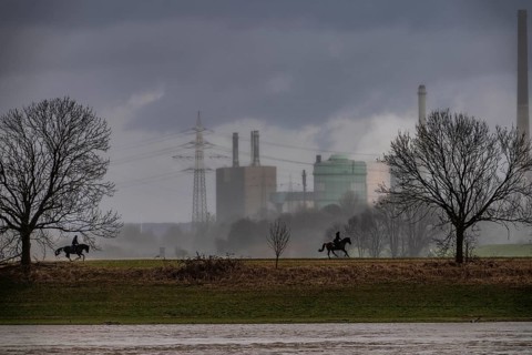 Riders on the banks of the Rhine opposite Krefeld-Uerdingen, in winter, the Krupp-Mannesmann