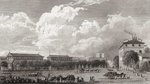 La halle aux vins de Paris, antique steel engraved print, 1831