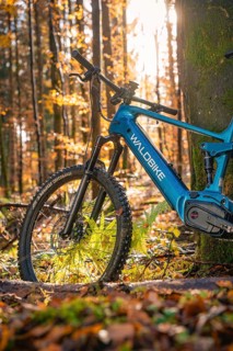 A blue mountain bike stands in the autumnal forest light on foliage, e-bike, forest bike, Calw,