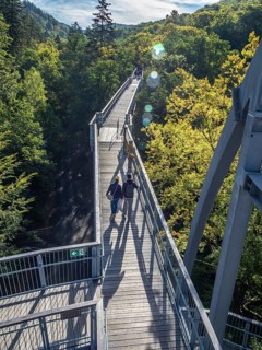 Baumwipfelpfad, Treetop walkway through a forest in autumn, Bad Harzburg, Harz mountain range,