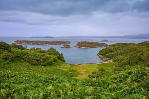Wooded islands in a calm ocean with cloudy skies and lush vegetation, Drumberg Viewpoint, Drumbeg,