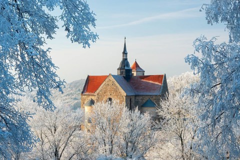 Goseck Castle in the Saale valley in winter, view through trees with hoarfrost, near Naumburg