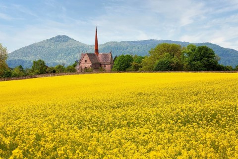 Amelungsborn Abbey, a Lutheran monastery, near Negenborn and Stadtoldendorf, Landkreis of