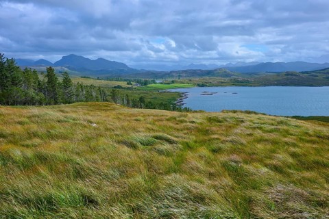 Grassy landscape with view of forest and lake under clouds, Loch Torridon, Balgy, Strathcarron,