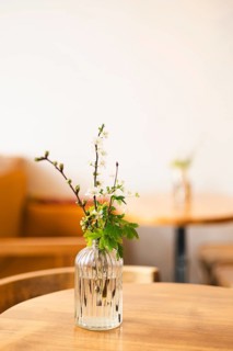 A simple and elegant floral arrangement with delicate white flowers and green leaves sits in a