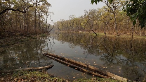 A calm lake in a forest with a wooden boat and trees, peaceful and serene, Chitwan National Park,
