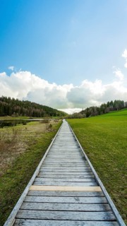 A serene wooden walkway leads through a lush spring meadow with vibrant green grass and scattered