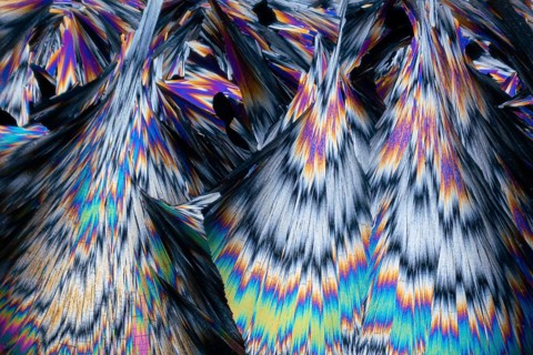 This micrograph showcases stunning hippuric acid crystals, featuring sharp peaks and vibrant colors