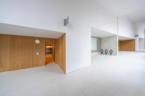 Modern sustainable architecture with vibrantly colored glass portals and wooden elements, featuring