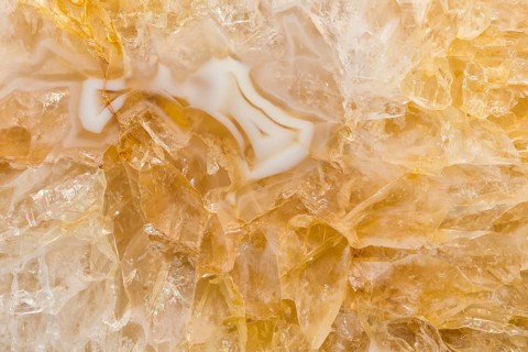 Detailed macro shot of an agatized limb cast, showcasing intricate patterns of agate within