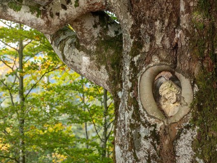 The Balzer Herrgott, also known as Winkelherrgott, Christ figure grown into an old moss-covered