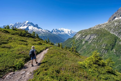 Mountaineer on hiking trail, mountain panorama with glaciated mountain peaks, Aiguille Verte with