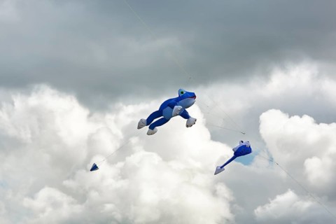 Two kites flying in front of rain clouds, blue frog and tadpole, kite festival in Vinsebeck,
