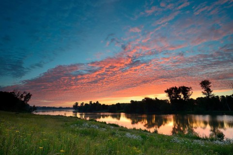 Morning glow on the Old Rhine with deciduous trees, Xanten, Lower Rhine, North Rhine-Westphalia,