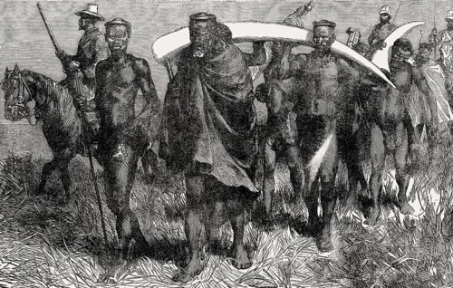 Cetshwayo kaMpande, king of the Zulu Kingdom bringing ivory as reparation, From British Battles on