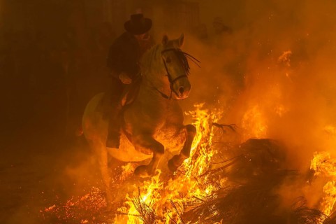 Europe. Spain. Avila. During the feast of San Antonio in the small mountain top hamlet of San