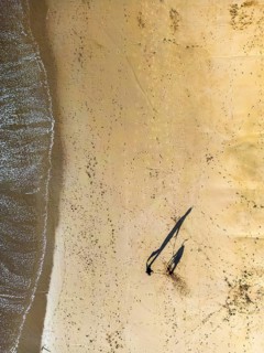 Aerial shot captures a person and his dog walking on a sandy beach, casting long shadows in the
