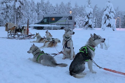 Huskies and dog sleds in front of a motorhome in winter, Ranua, Lapland, Finland