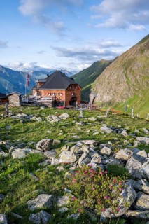 Mountain hut Lasörlinghütte in the evening light, mountain landscape with alpine roses,