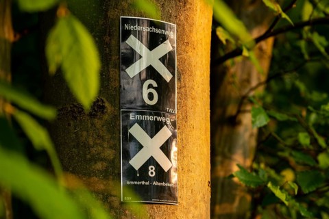 Signpost for the Niedersachsenweg and the Emmerweg on a tree trunk in a forest flooded with