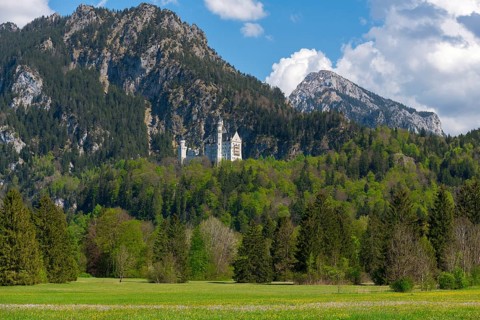 Neuschwanstein Castle amidst green forests and majestic mountains under a blue sky with scattered