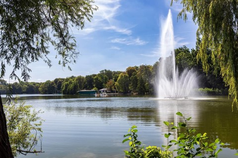 Swan pond with water fountain, Swan Pond Park, Zwickau, Saxony, Germany