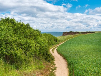 Hiking trail on the high shore of the Baltic Sea on the cliffs of Boltenhagen, Mecklenburg-Western
